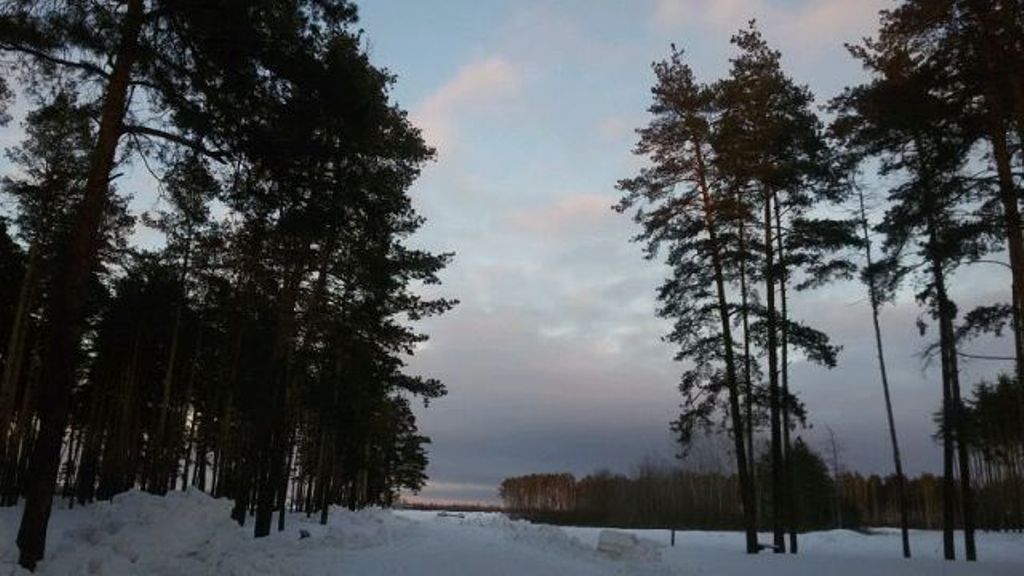  Зимние пейзажи  - фото 10