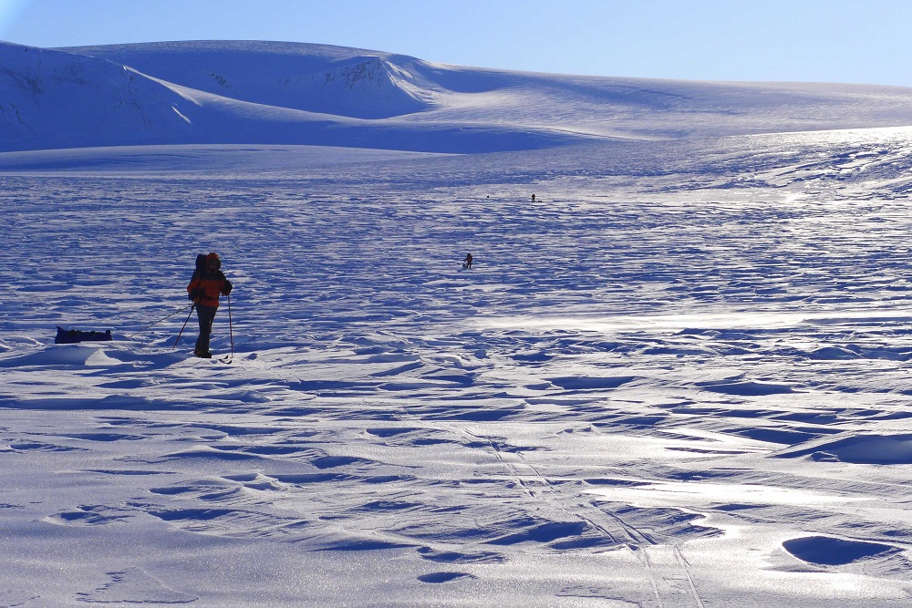  Арктическая экспедиция "Полярная дуга" продолжается  - фото 1