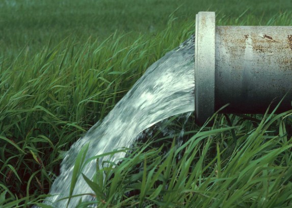 Красноярцы предложили инновационный способ очистки сточных вод - фото 1