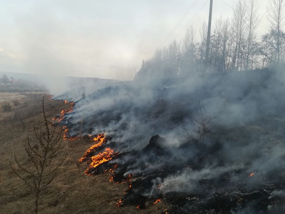 В Курской области установился третий класс пожарной опасности - фото 1