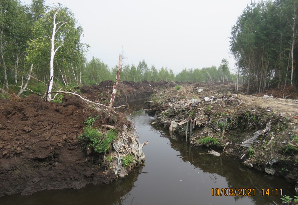 Режим ЧС как повод уничтожить водно-болотные угодья - фото 10