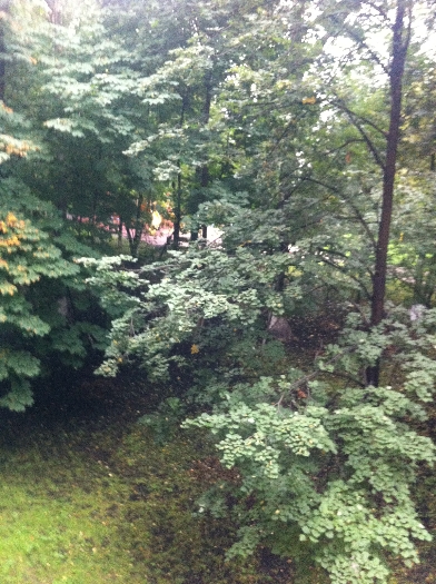 «Фото из окна». Москва. Осень пришла в наш двор... - фото 3