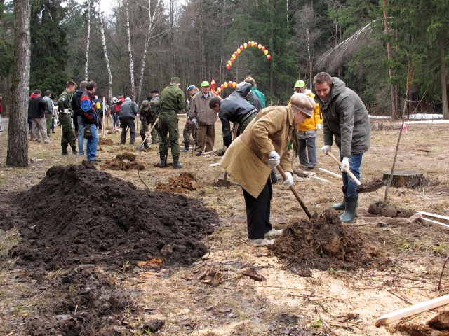 Зеленоградские ветераны посадили аллею из лип - фото 5