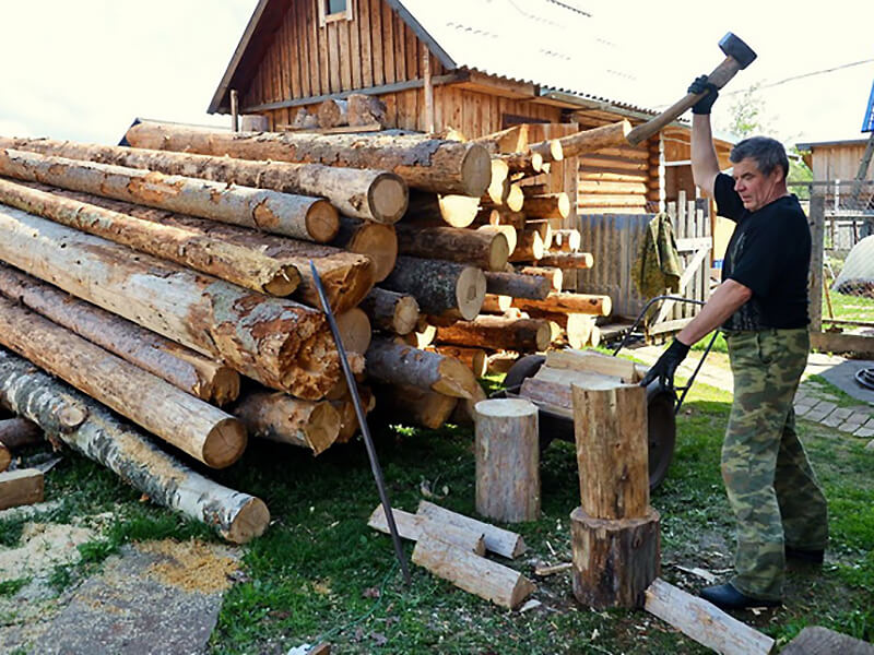 Процедура заготовки леса для собственных нужд гражданами Подмосковья - фото 1