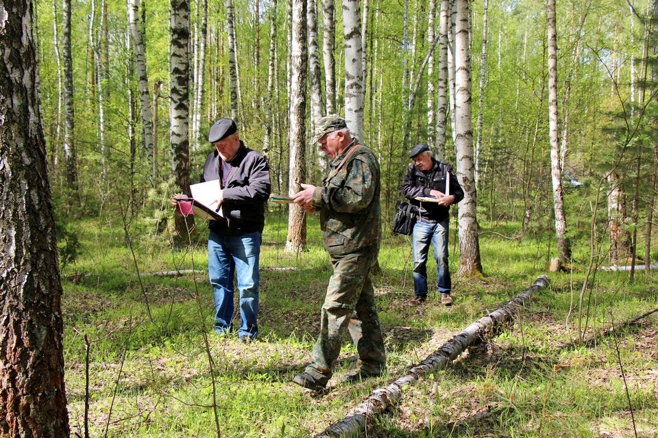 В Рязанской области приступили к таксации лесов - фото 1