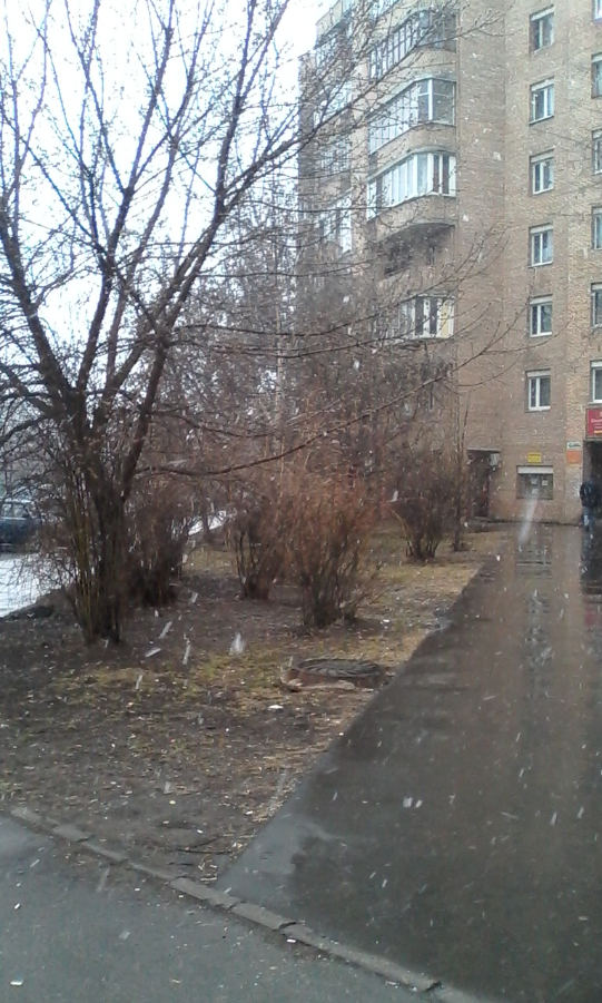 Последний день марта "порадовал" нас снегом - фото 6