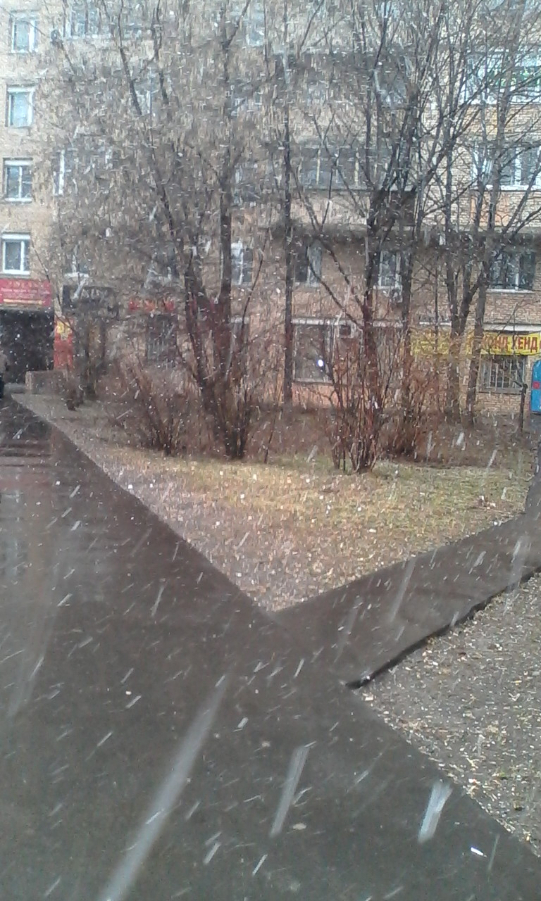 Последний день марта "порадовал" нас снегом - фото 8