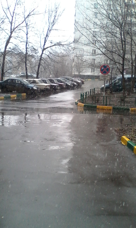 Последний день марта "порадовал" нас снегом - фото 13