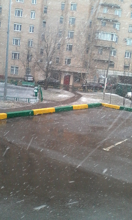 Последний день марта "порадовал" нас снегом - фото 20