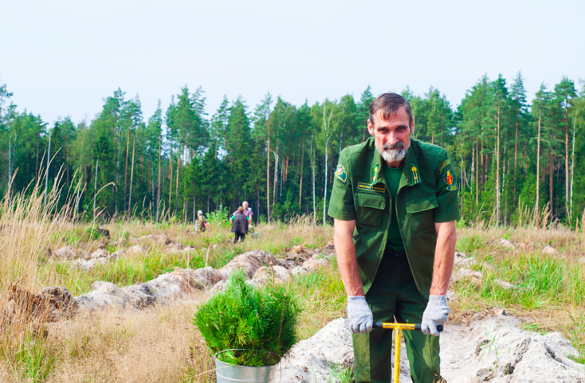 Всероссийская акция «Сохраним лес» стартовала в Подмосковье - фото 1