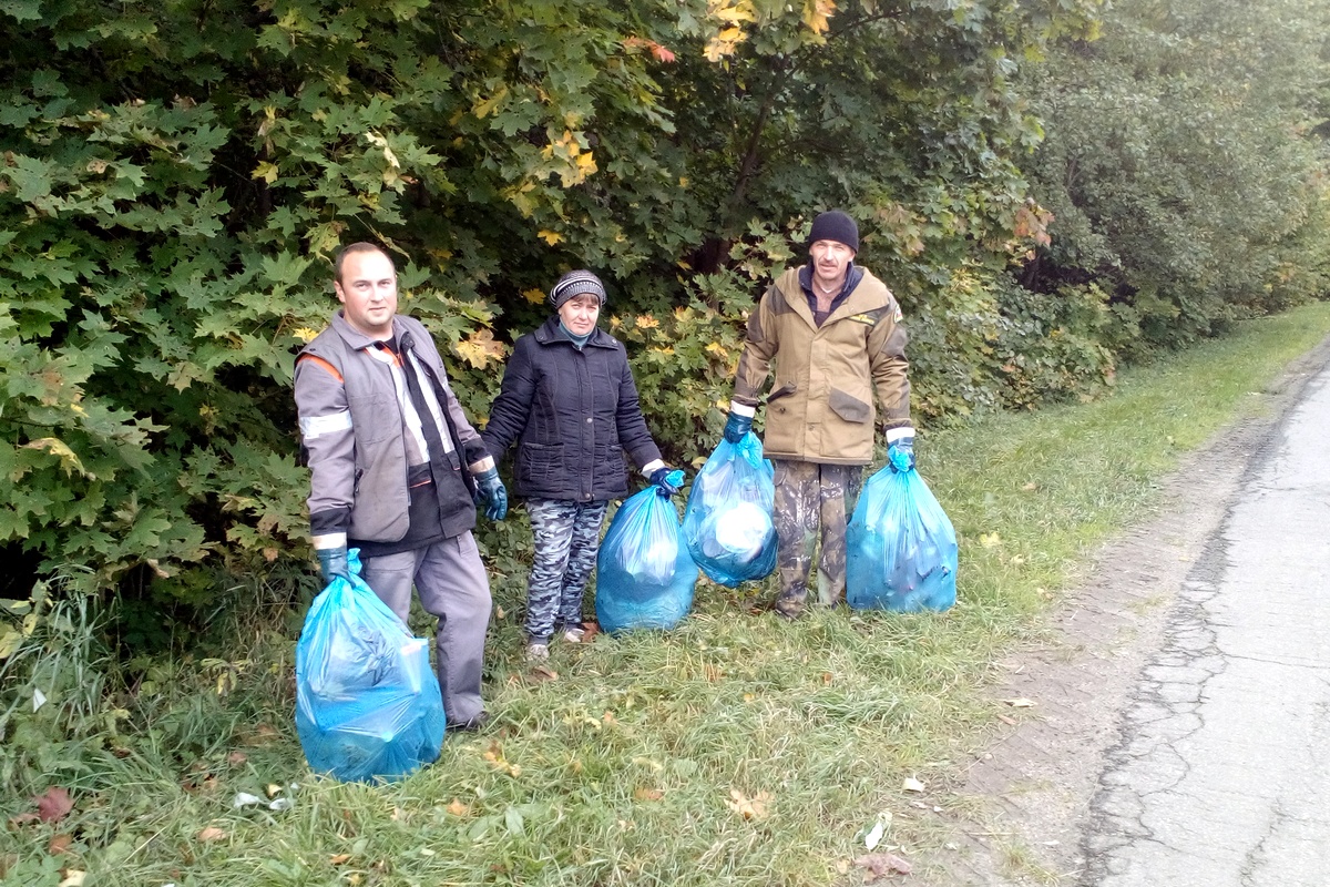 Сотрудники лесничеств убирают территорию лесного фонда Рязанской области - фото 1