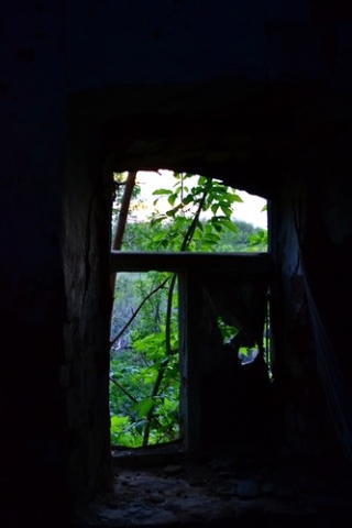 "Фото из окна". "Брошенный дом " с. Озерки, Милославский р-он, Рязанская область - фото 1