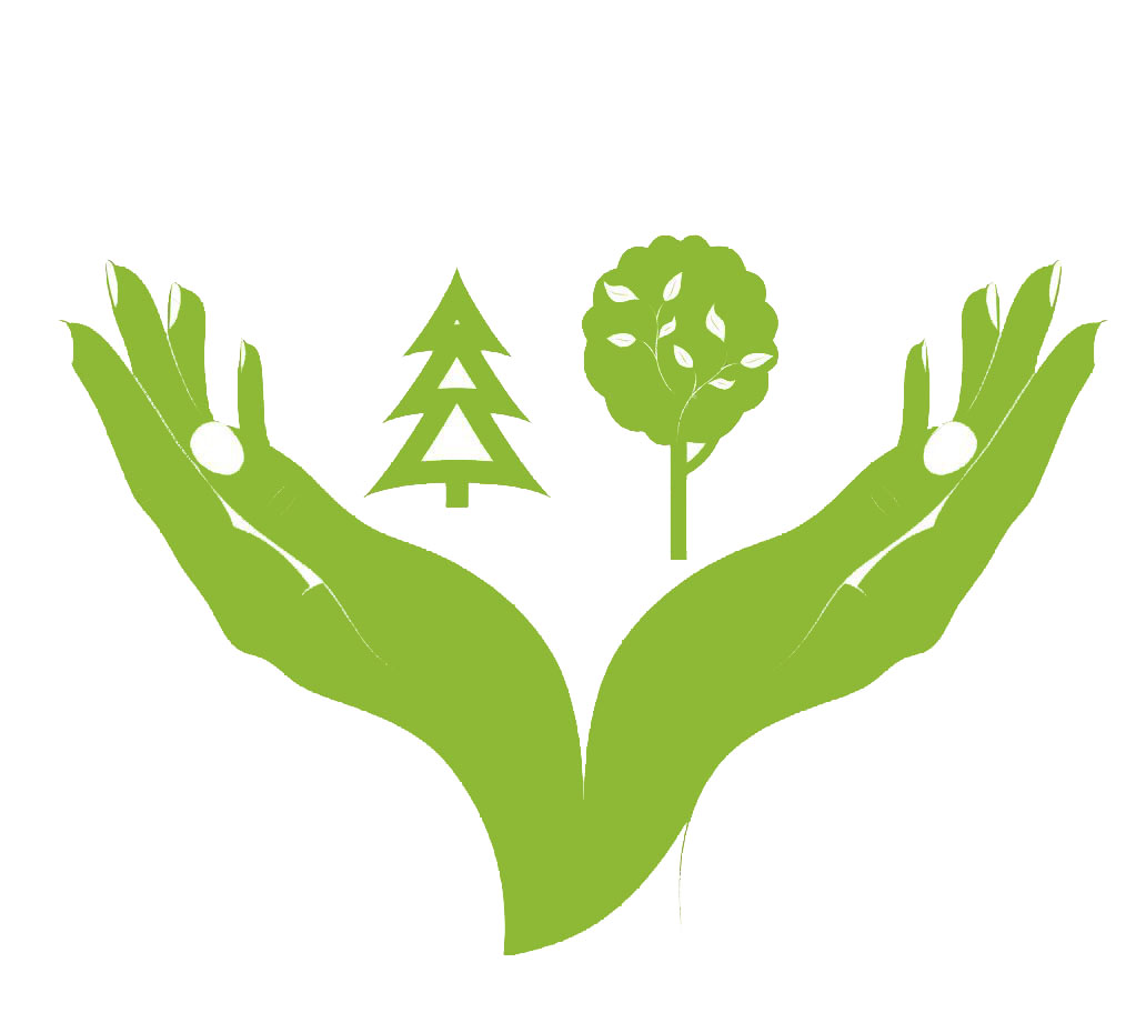 Реализация национального проекта «Экология», регионального проекта «Сохранение лесов» на территории Брянской области - фото 1