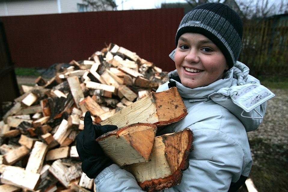 Обеспечение населения древесиной в Смоленской области - фото 1