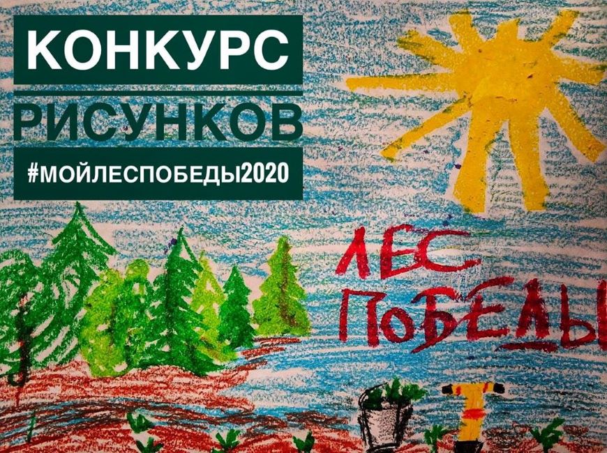 Внимание! В Мосоквской области объявлен конкурс рисунков МойЛесПобеды2020 - фото 1