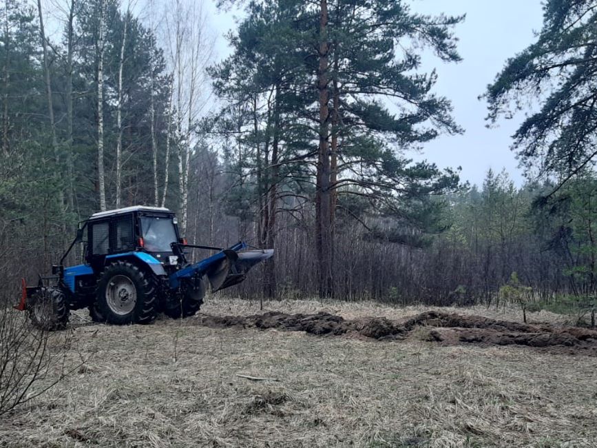 В Ярославской области будет создано более 800 км минерализованных полос для защиты лесов от пожаров - фото 1
