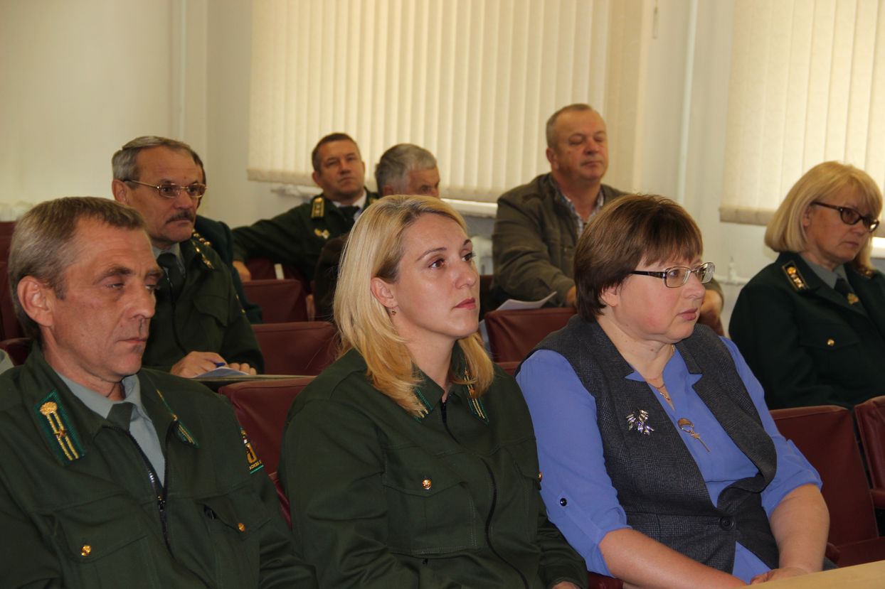 В Ярославской области внедрена новая система мониторинга сохранения лесных ресурсов - фото 1
