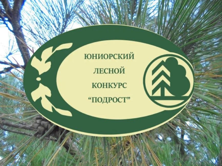 В Ярославской области подвели итоги регионального этапа  онкурса «Подрост» - фото 1