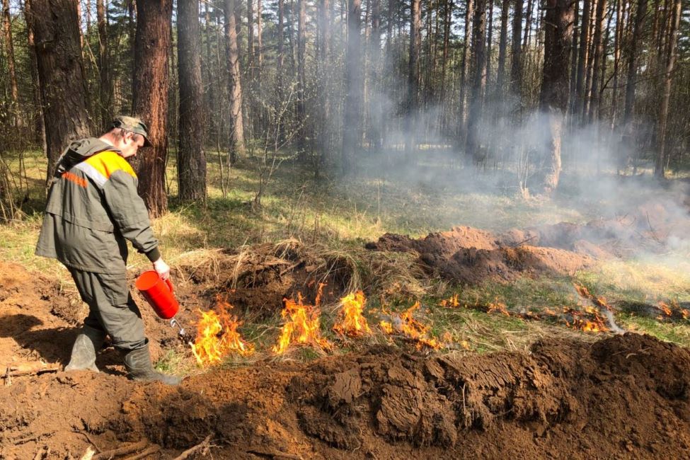 В Ярославской области введен особый противопожарный режим - фото 1