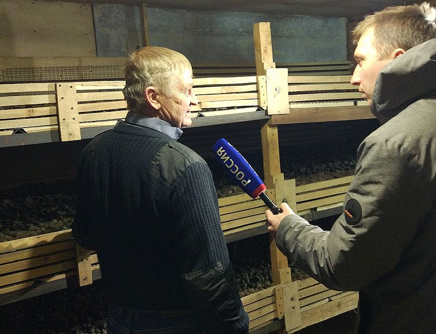 Орловские телезрители познакомились с процессом производства семян сосны - фото 1