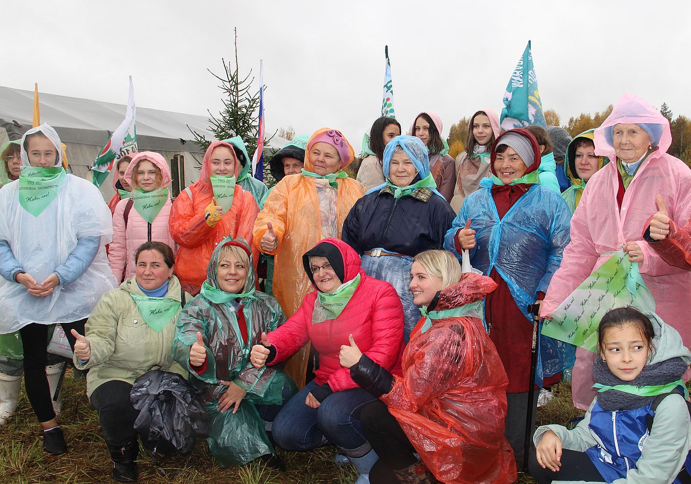 В Ярославской области в акции «Сохраним лес» уже приняли участие более 3,5 тысяч человек - фото 1