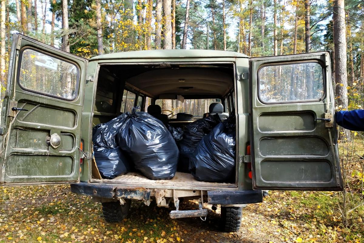 В рамках кампании «Сохраним лес» на территории Рязанской области продолжается очистка лесного фонда от мусора - фото 1