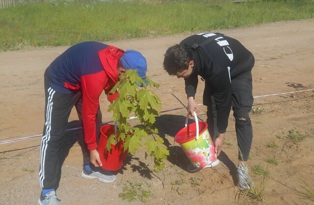 Агротехнический уход за культурами, высаженными в Костромской области в рамках акции «Сад памяти» - фото 1