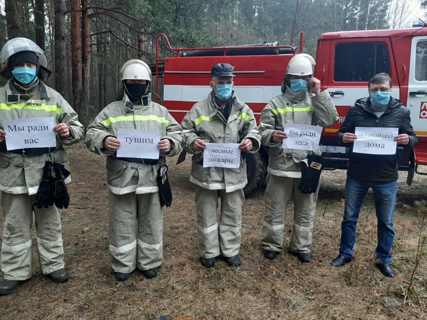 Ярославская лесная охрана присоединилась к акции #ОставайтесьДома - фото 1
