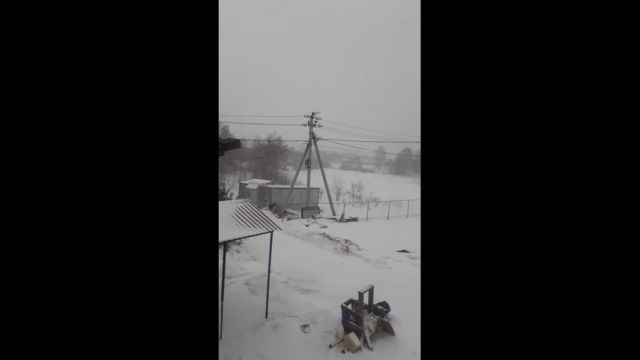 Снегопад и ураган. Все это в Московском регионе - фото 1