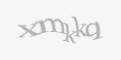 Защитный код