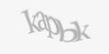 Защитный код