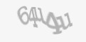 Защитный код