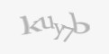 Защитный код