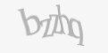 Защитный код
