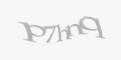 Защитный код