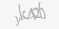 Защитный код