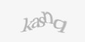 Защитный код