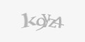Защитный код