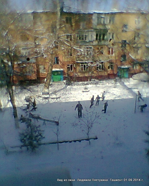 "Фото из окна". Зима, Ташкент 09.02.2014 - фото 1