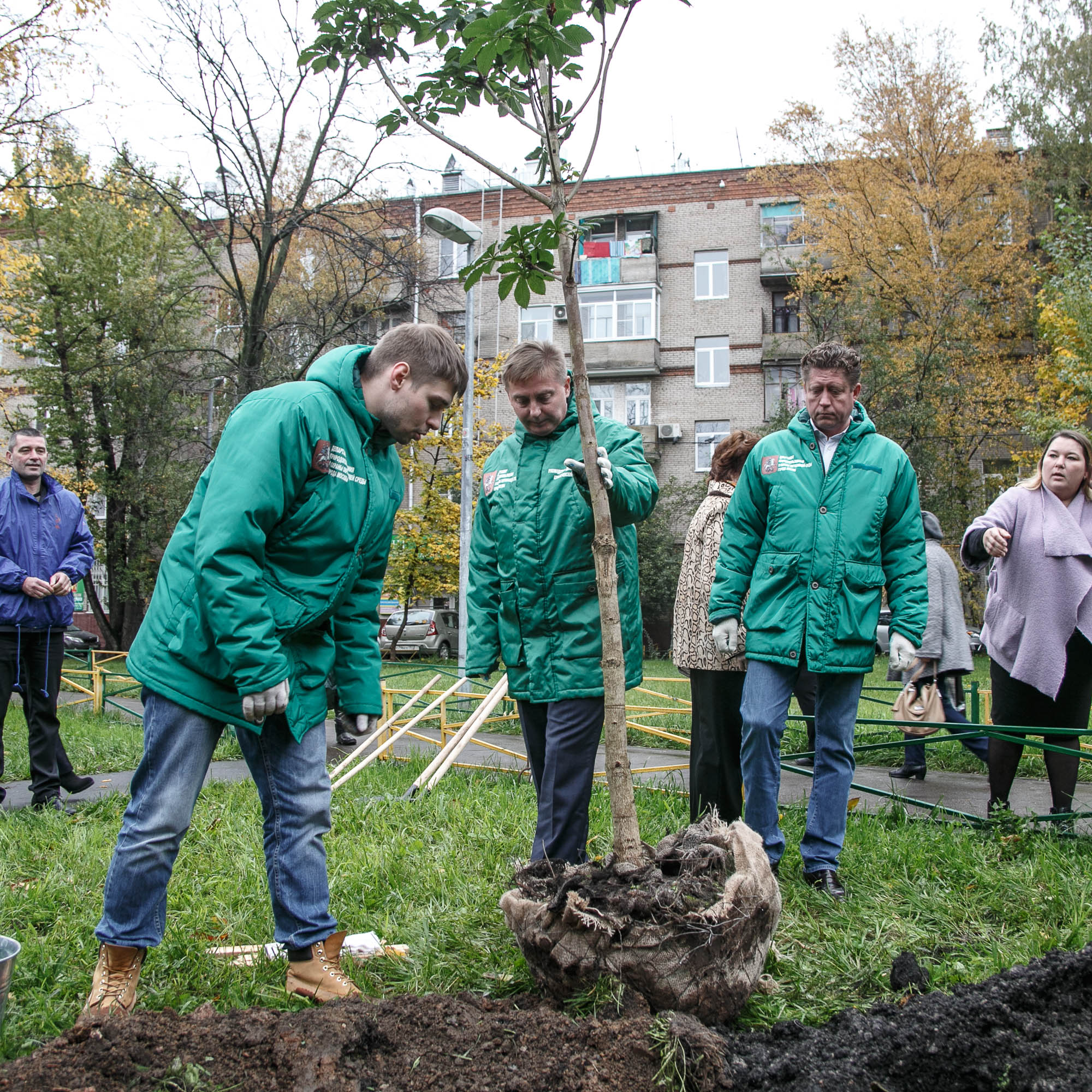 Проект миллион деревьев