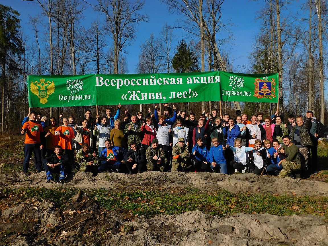 Волонтеры общественных организаций «ДоброМир» и «Чистый Брянск» присоединились к кампании «Сохраним лес» - фото 1