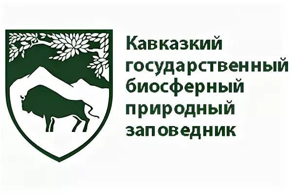 На Курорте Красная Поляна открылась конференция, посвящённая вопросам устойчивого развития природных территорий - фото 1