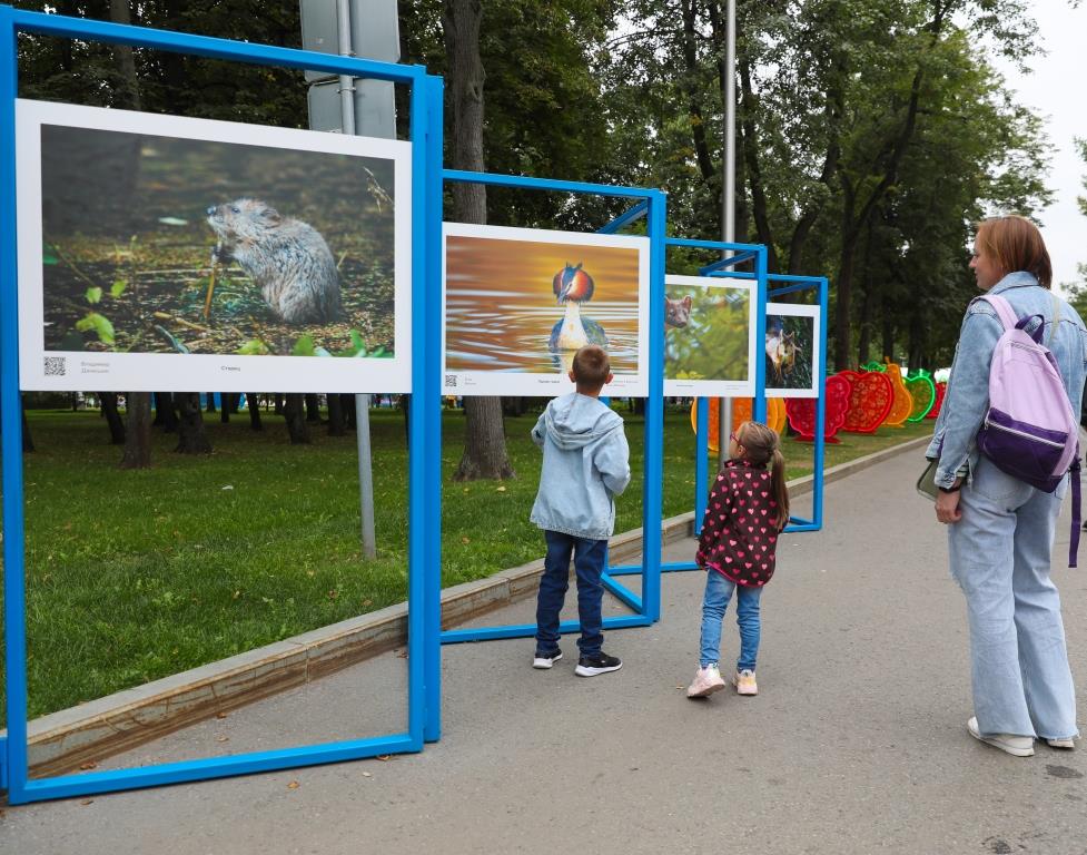 Более 160 000 москвичей познакомились с миром природы столицы благодаря ГПБУ «Мосприрода» - фото 4