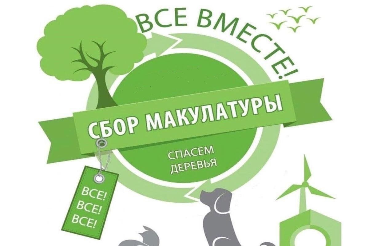 Фонд «Экология» РСХБ приглашает детей Москвы и Подмосковья к проекту по сбору макулатуры - фото 1