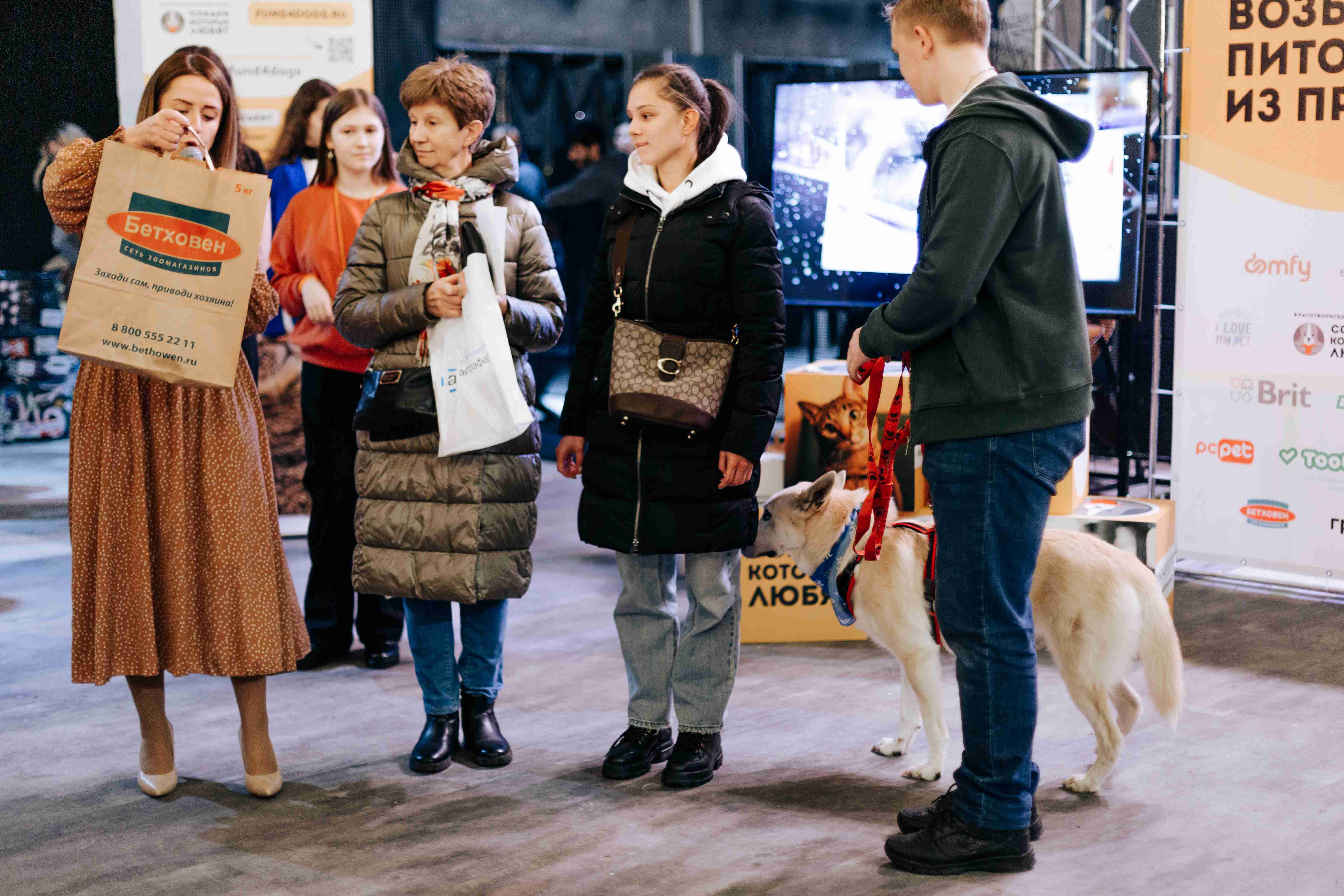 Фестиваль "Собаки, которые любят... и котики!" пройдет в Москве 10 ноября - фото 7