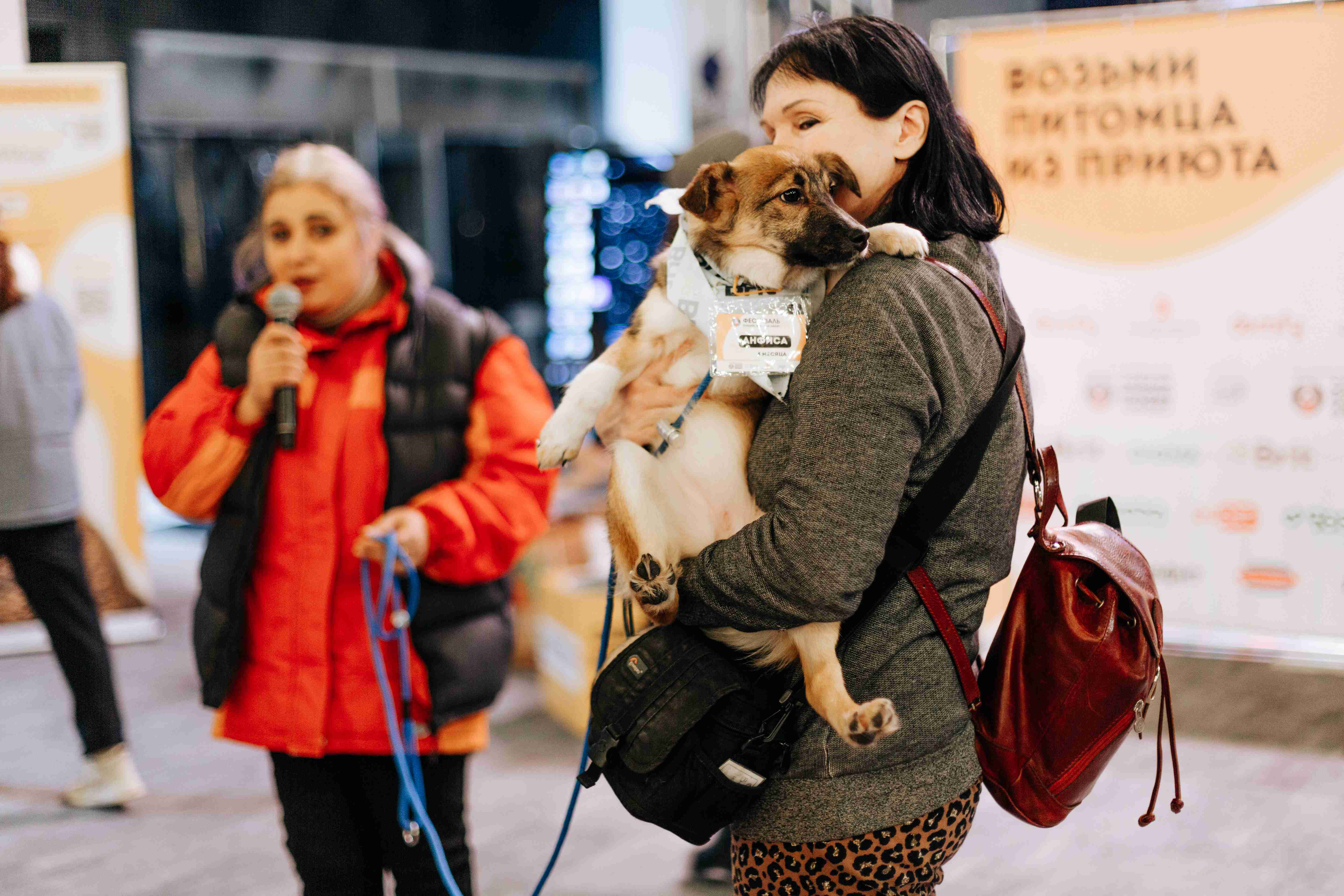 Фестиваль "Собаки, которые любят... и котики!" пройдет в Москве 10 ноября - фото 8