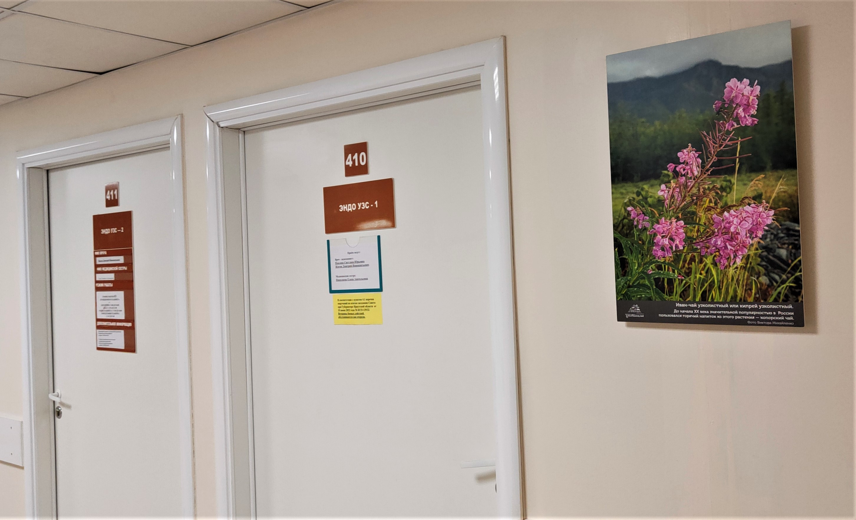 Пациентам Иркутского областного онкологического диспансера показали заповедную природу Байкала - фото 2