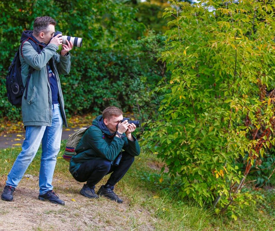 Лесная завирушка и осоед: участники Кубка Столицы «Осень-2022» сфотографировали около 60 видов птиц - фото 9