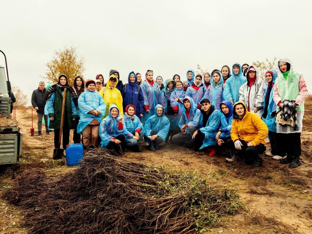 В Волгоградской области посадили 2 тысячи вязов - фото 2