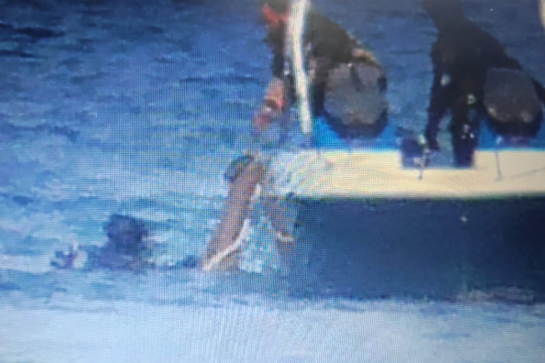 В Дальневосточном морском заповеднике спасено от браконьеров  более 1,5 тыс. особей трепанга: предотвращенный ущерб составил 2,4 млн рублей - фото 2